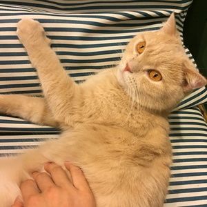 Meet your Posher, Jie